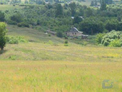 Вид со стороны д. Шкилевка- начало деревни