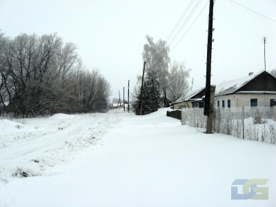 Зима, январь 2011г.